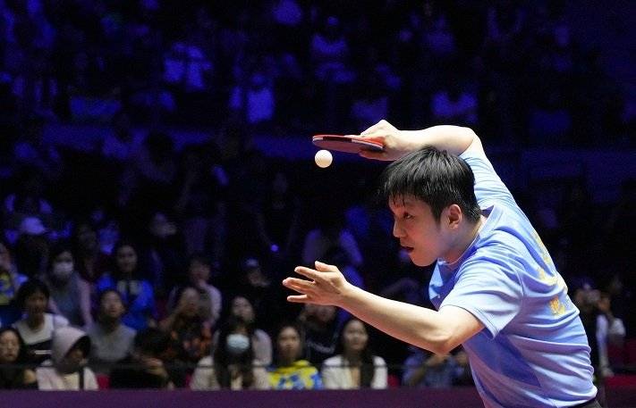 樊振东下半年真的“活”了！德甲开售立马售罄，热情根本挡不住